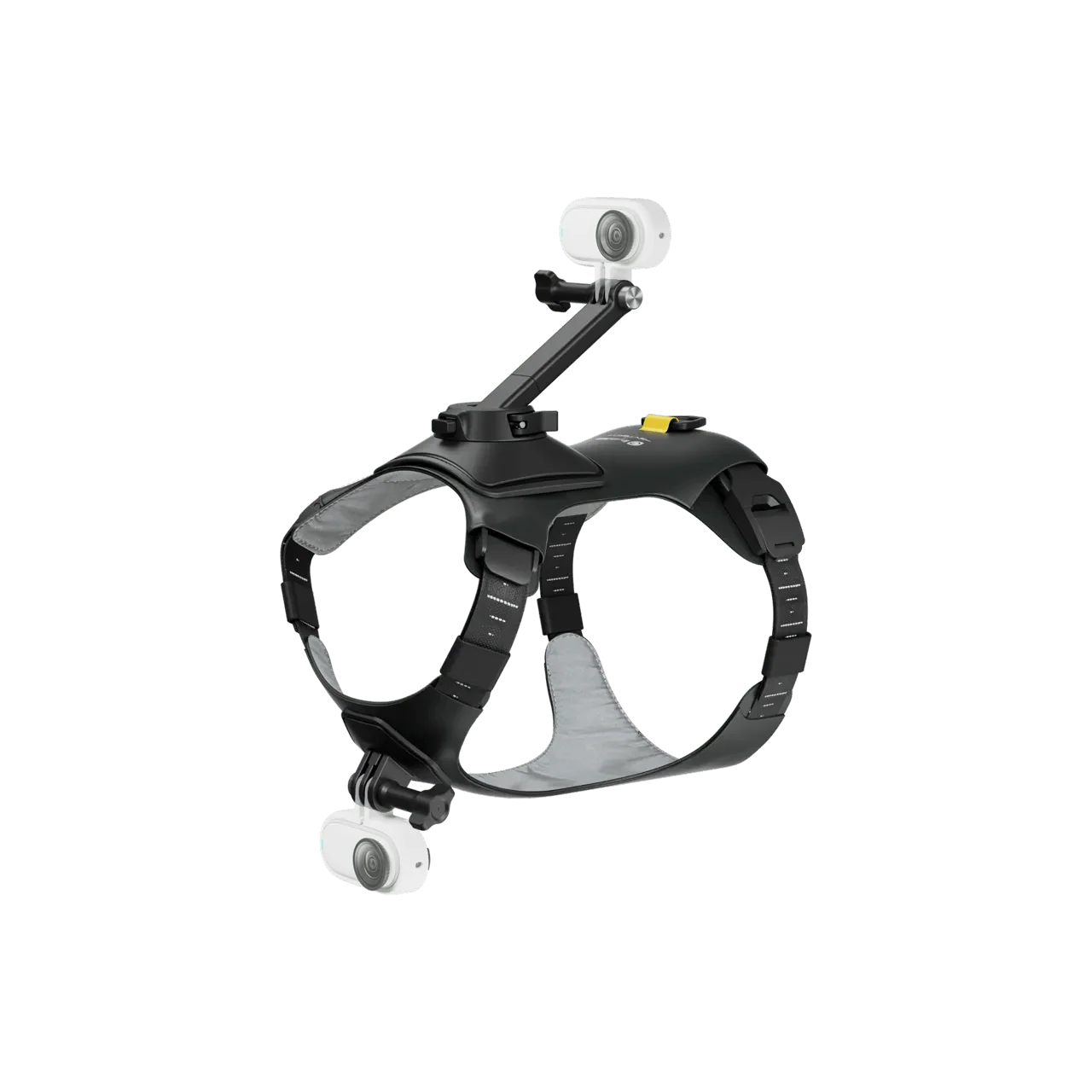 Insta360 Pet Harness Mount S/M for Pet POV Camera Shots - Image 12
