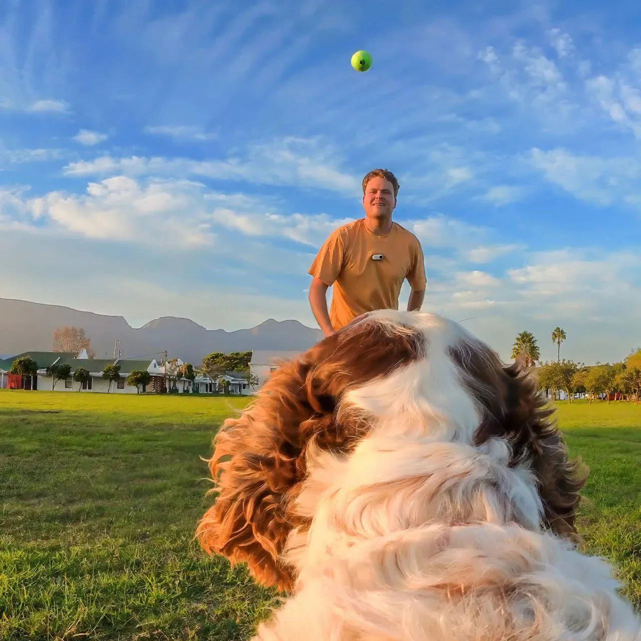 Insta360 Pet Harness Mount S/M for Pet POV Camera Shots - Image 13