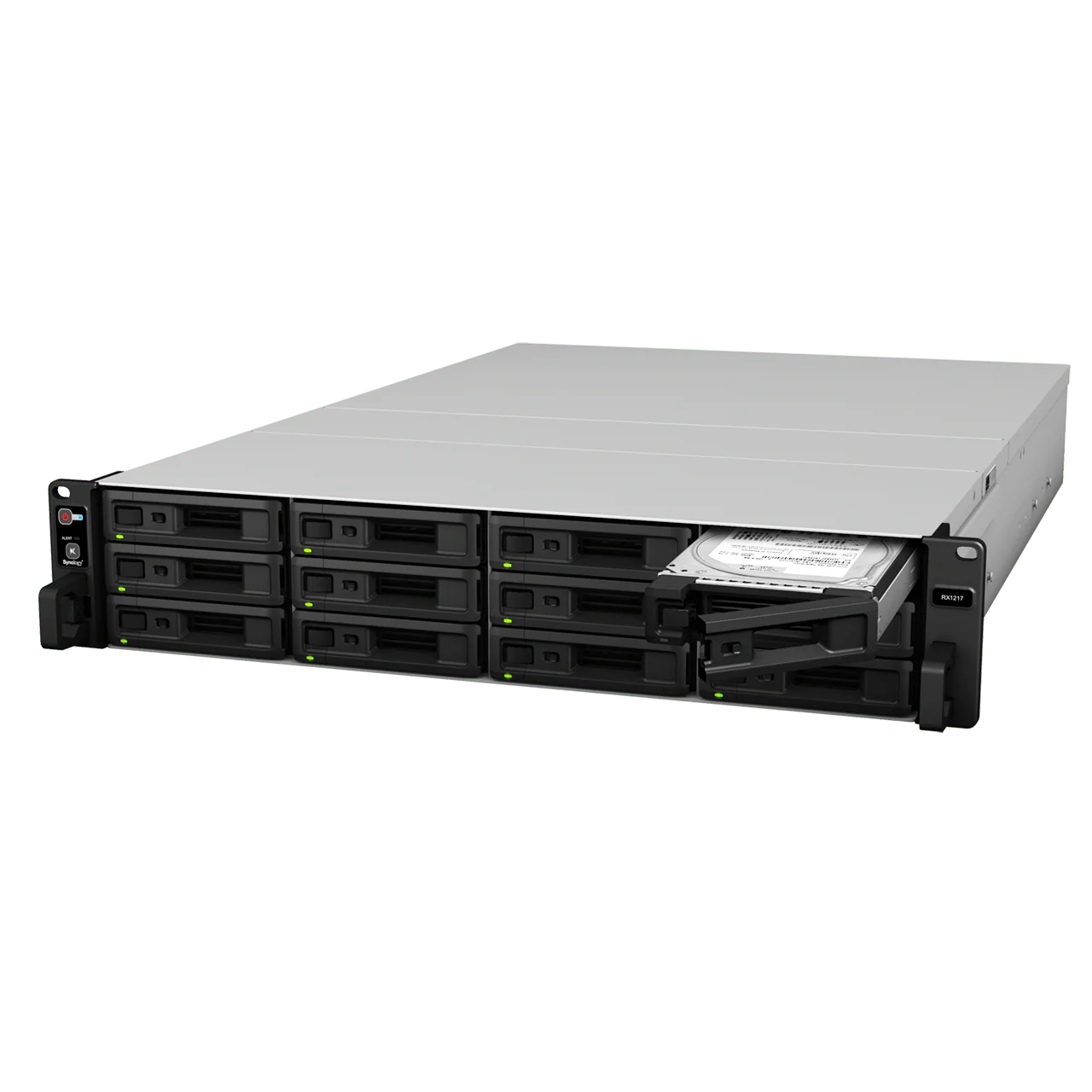 Synology RX1217/RX1217RP 12-Bay Rackmount Expansion - Image 3