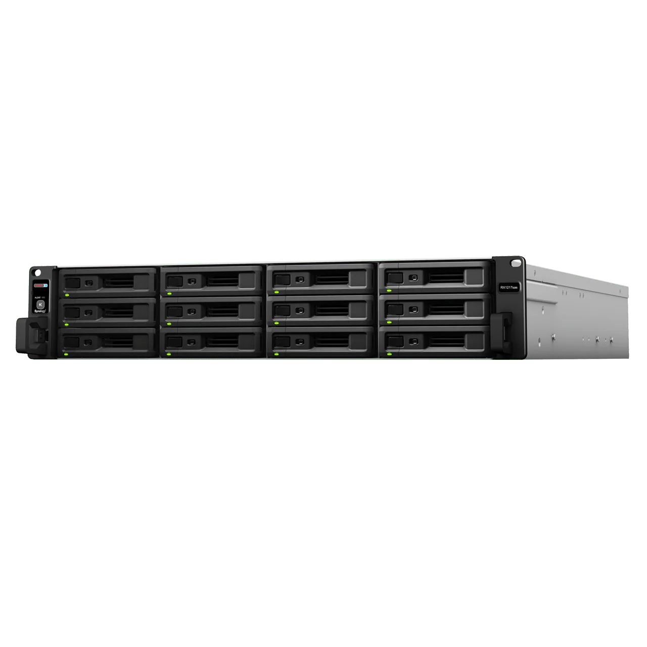 Synology RX1217sas 12-Bay Rackmount Expansion