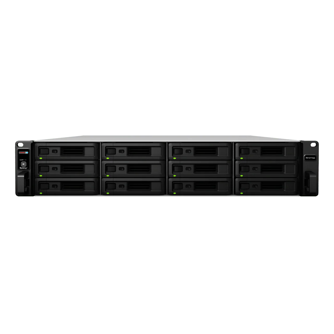 Synology RX1217sas 12-Bay Rackmount Expansion - Image 2