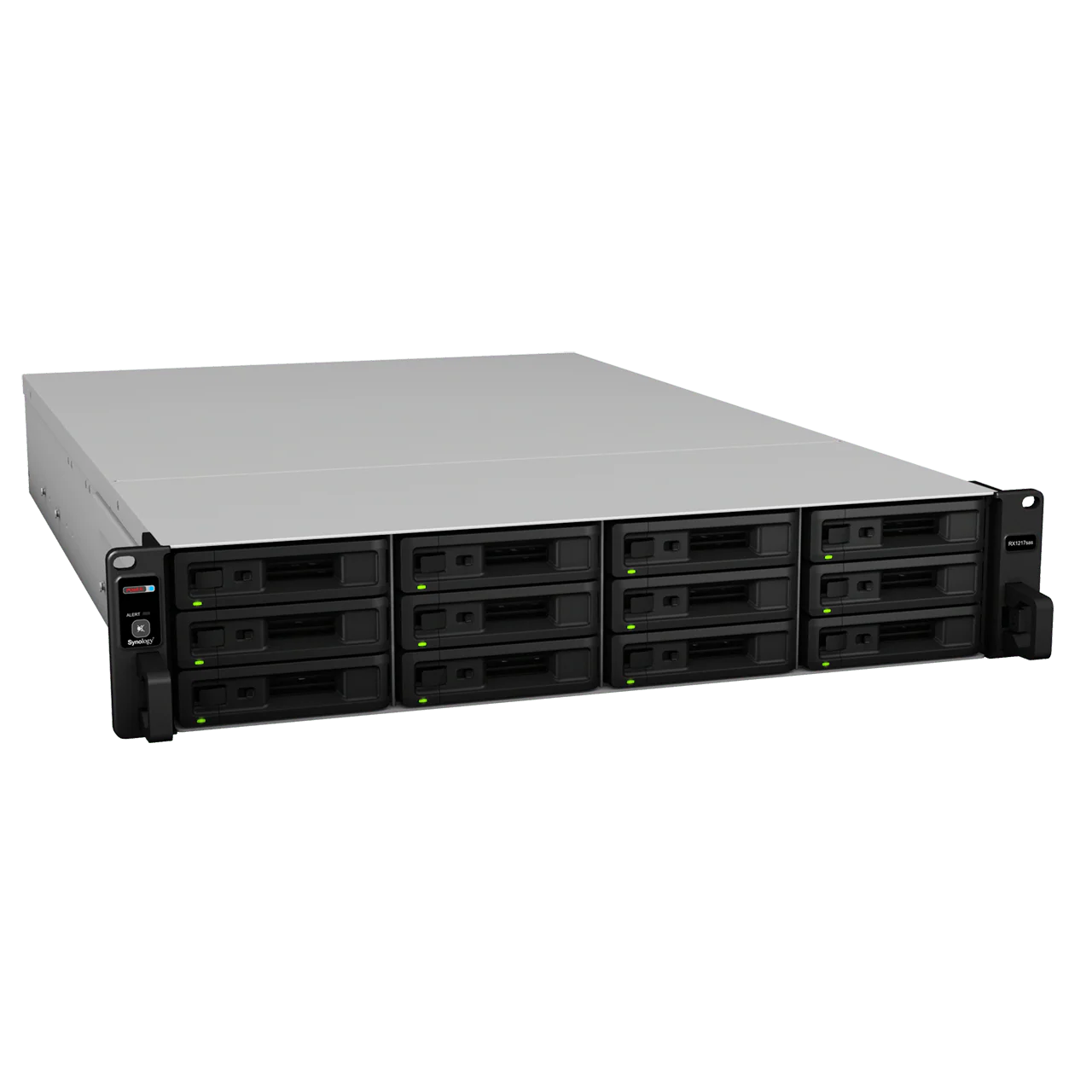Synology RX1217sas 12-Bay Rackmount Expansion - Image 5
