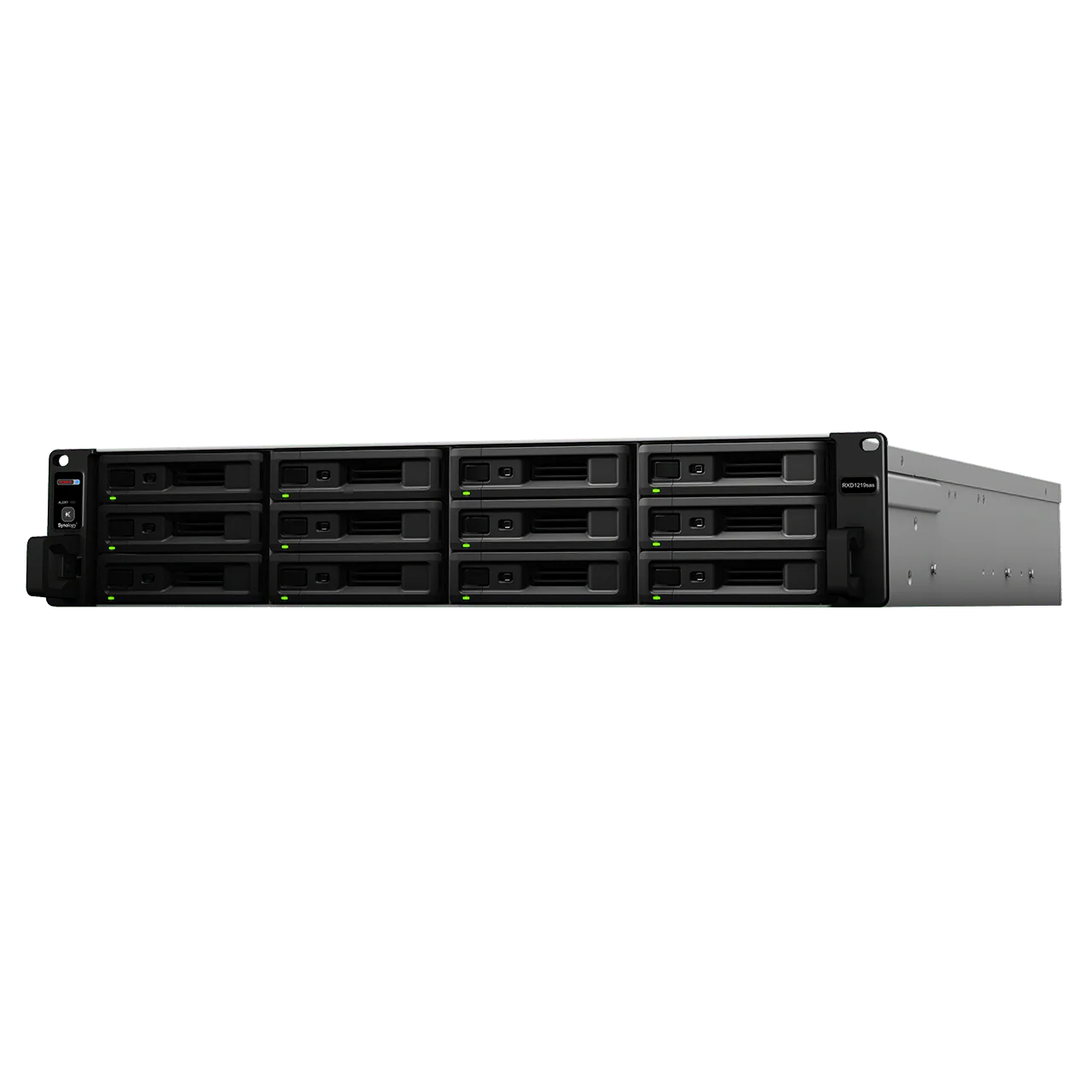 Synology RXD1219sas 12-Bay Rackmount Expansion