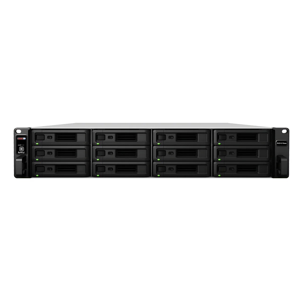 Synology RXD1219sas 12-Bay Rackmount Expansion - Image 3