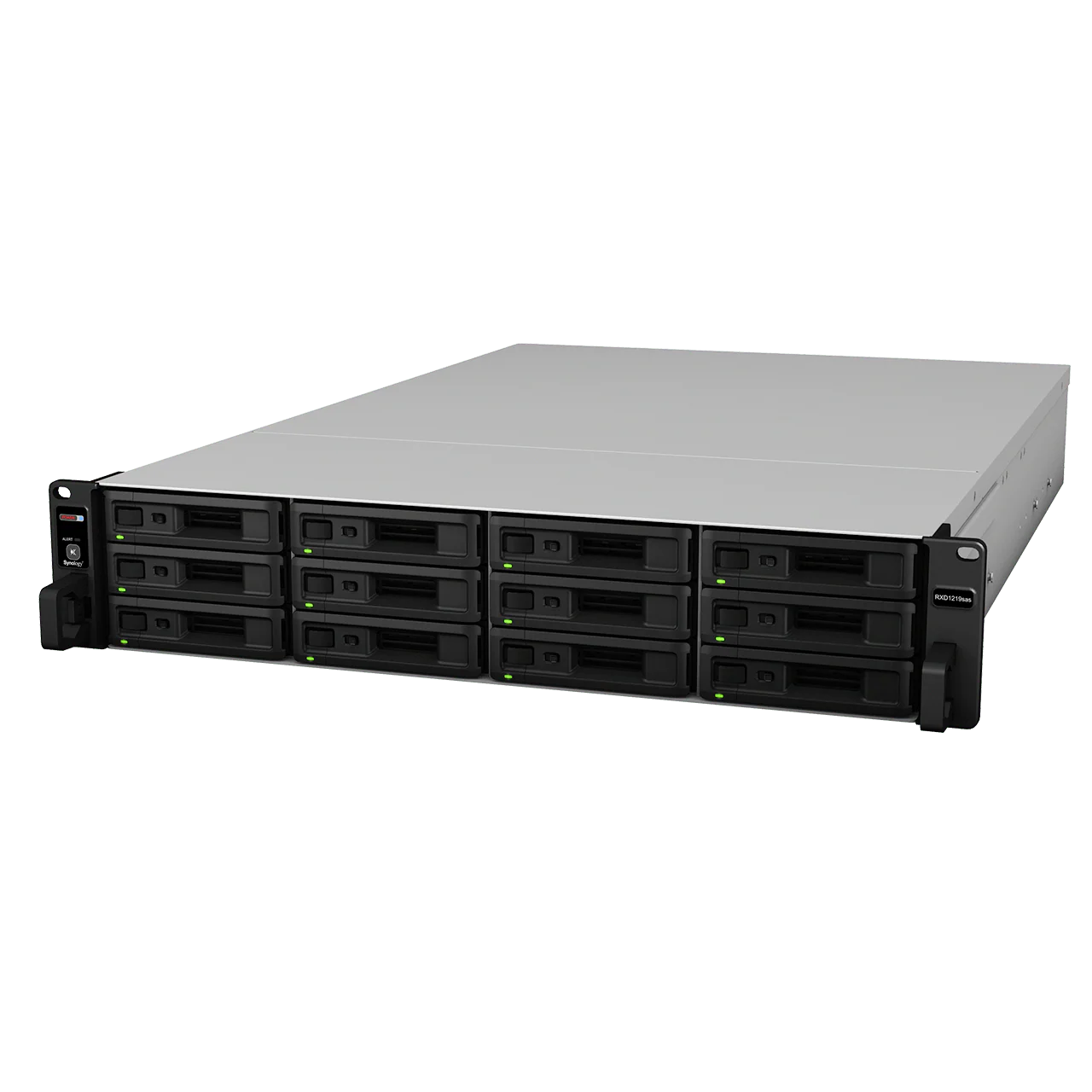 Synology RXD1219sas 12-Bay Rackmount Expansion - Image 7