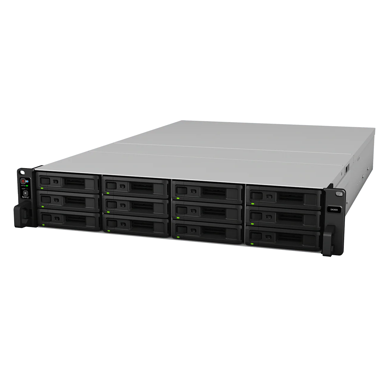 Synology SA3610 12-Bay Rackmount NAS - Image 3