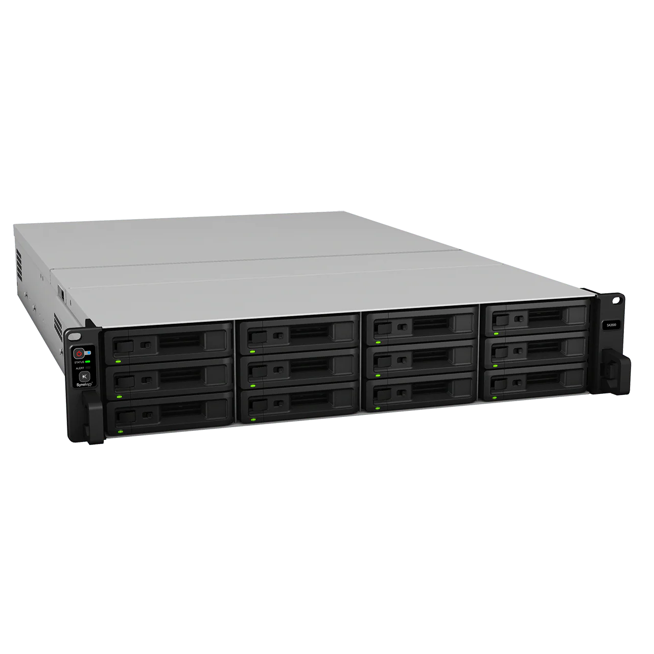 Synology SA3610 12-Bay Rackmount NAS - Image 4