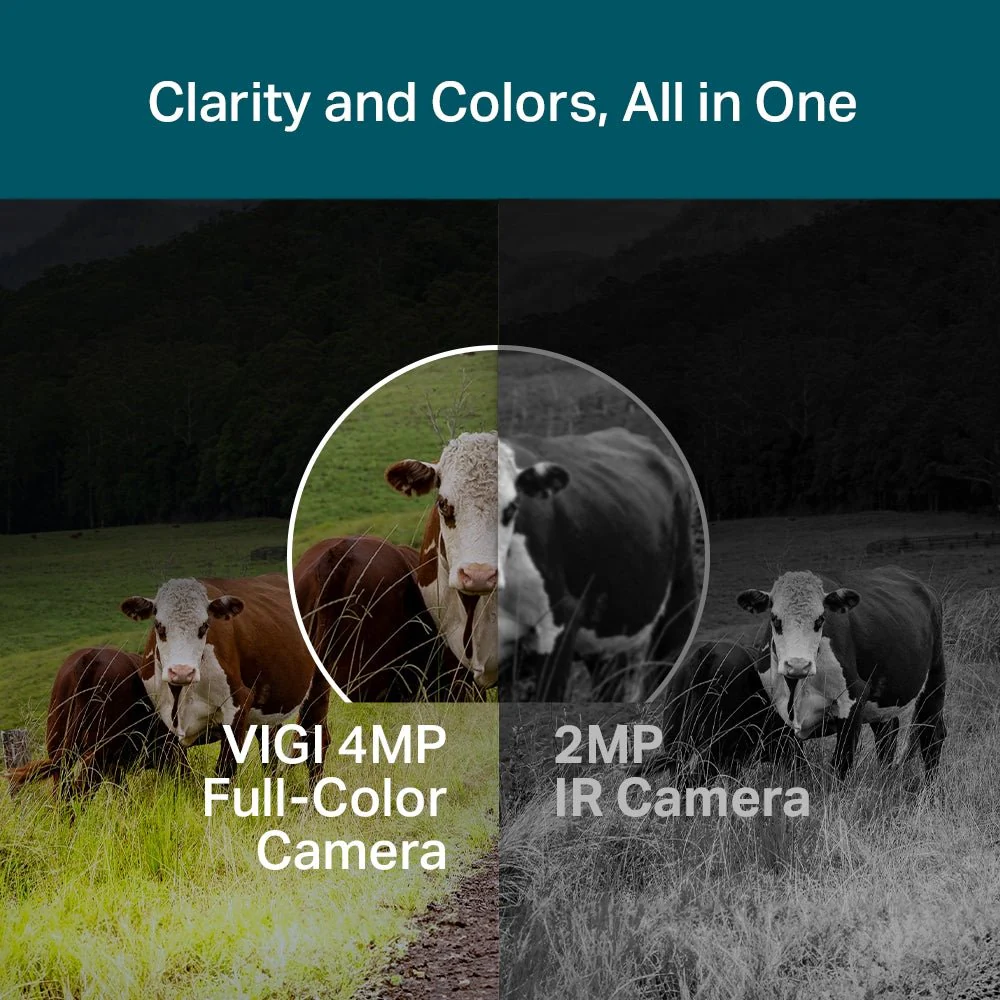 TP-Link VIGI C540-4G 4MP Outdoor Full-Color 4G Pan Tilt Network Camera - Image 5